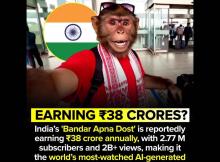 बन्दर दोस्त