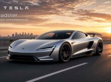 Tesla Roadster India